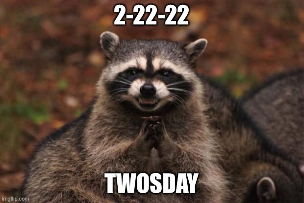 Sdfsghjfdsghfehjiohgfvhdysr | 2-22-22; TWOSDAY | image tagged in evil genius racoon | made w/ Imgflip meme maker