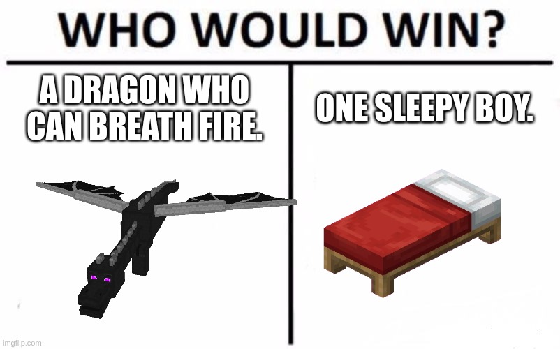 Put your answer in the comments | A DRAGON WHO CAN BREATH FIRE. ONE SLEEPY BOY. | image tagged in memes,who would win | made w/ Imgflip meme maker