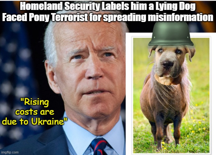 Is Biden a domestic terrorist? | Homeland Security Labels him a Lying Dog Faced Pony Terrorist for spreading misinformation; "Rising costs are due to Ukraine" | image tagged in lying dog faced pony soldier,domestic terrorist,homeland security,inflation,rising costs | made w/ Imgflip meme maker