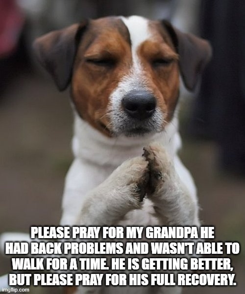 Please pray for him | PLEASE PRAY FOR MY GRANDPA HE HAD BACK PROBLEMS AND WASN'T ABLE TO WALK FOR A TIME. HE IS GETTING BETTER, BUT PLEASE PRAY FOR HIS FULL RECOVERY. | image tagged in praying dog | made w/ Imgflip meme maker