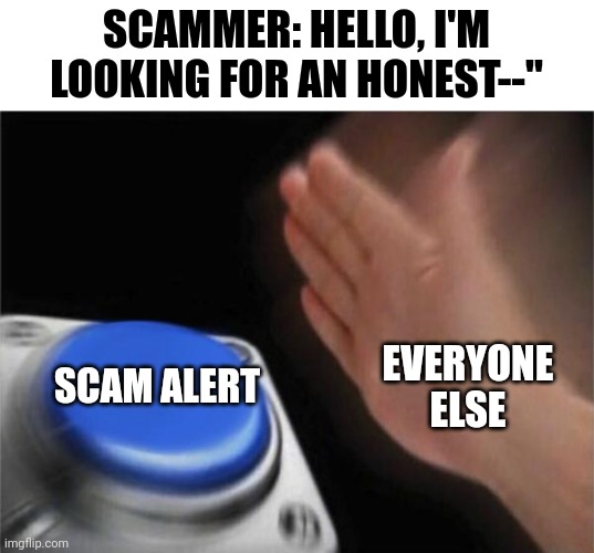 Blank Nut Button | SCAMMER: HELLO, I'M LOOKING FOR AN HONEST--"; SCAM ALERT; EVERYONE ELSE | image tagged in memes,blank nut button,scam,scammers,scamming | made w/ Imgflip meme maker
