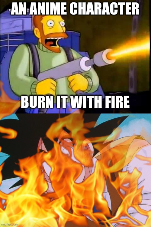 Kill it with fire | AN ANIME CHARACTER; BURN IT WITH FIRE | image tagged in kill it with fire,memes,condescending goku,anti anime | made w/ Imgflip meme maker