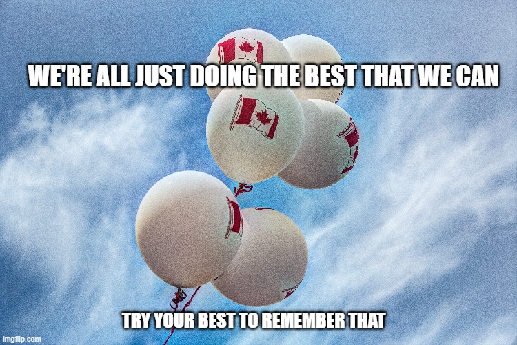 we're all just doing the best that we can | WE'RE ALL JUST DOING THE BEST THAT WE CAN; TRY YOUR BEST TO REMEMBER THAT | image tagged in division,polarity,a country divided,canada | made w/ Imgflip meme maker