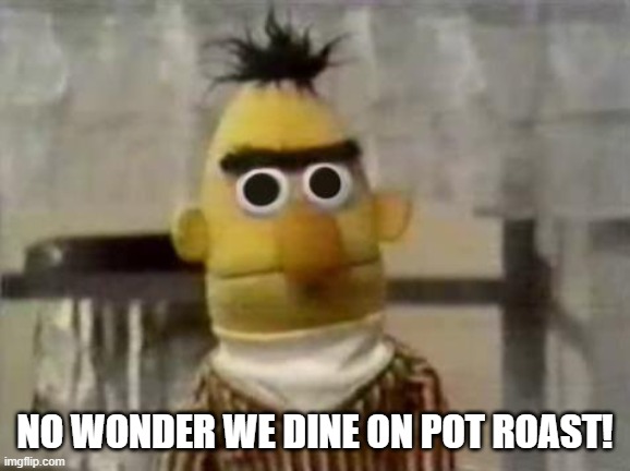 Bert Stare | NO WONDER WE DINE ON POT ROAST! | image tagged in bert stare | made w/ Imgflip meme maker