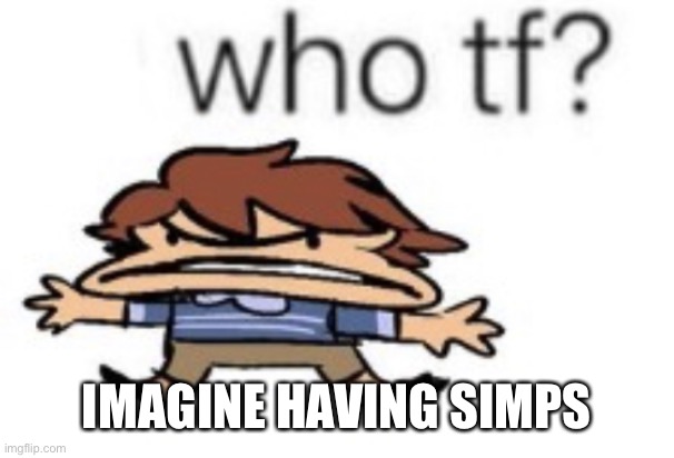 who tf | IMAGINE HAVING SIMPS | image tagged in who tf | made w/ Imgflip meme maker