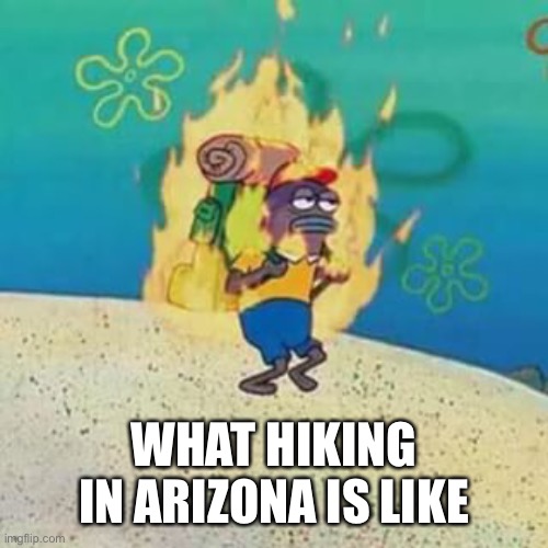 Hiking in Arizona | WHAT HIKING IN ARIZONA IS LIKE | image tagged in spongebob on fire | made w/ Imgflip meme maker