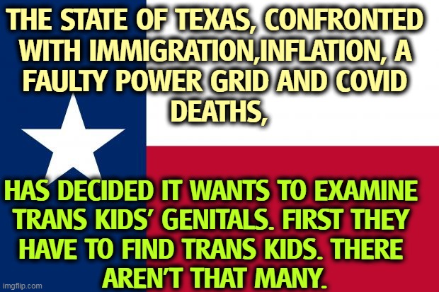 Because texas | THE STATE OF TEXAS, CONFRONTED 
WITH IMMIGRATION,INFLATION, A 
FAULTY POWER GRID AND COVID 
DEATHS, HAS DECIDED IT WANTS TO EXAMINE 
TRANS KIDS' GENITALS. FIRST THEY 
HAVE TO FIND TRANS KIDS. THERE 
AREN'T THAT MANY. | image tagged in because texas,texas,nasty,hate,children | made w/ Imgflip meme maker
