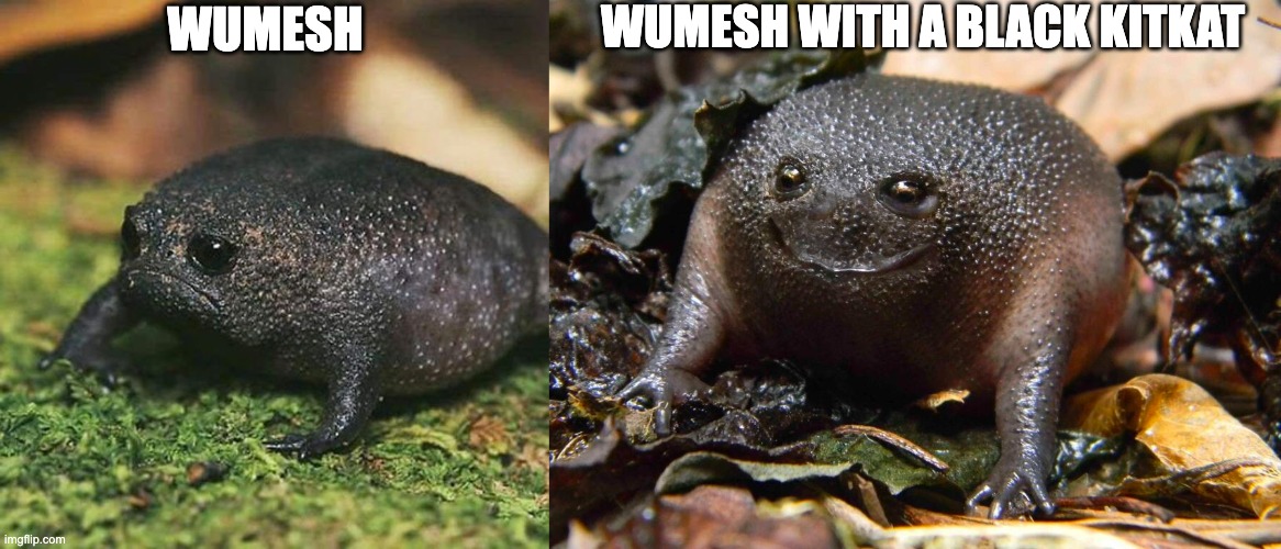 Sad frog happy frog | WUMESH WITH A BLACK KITKAT; WUMESH | image tagged in funny memes | made w/ Imgflip meme maker