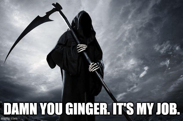 Death | DAMN YOU GINGER. IT'S MY JOB. | image tagged in death | made w/ Imgflip meme maker