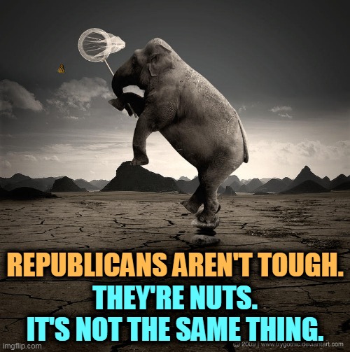 Republican elephant crazy chasing butterflies | REPUBLICANS AREN'T TOUGH. THEY'RE NUTS.
IT'S NOT THE SAME THING. | image tagged in republican elephant crazy chasing butterflies,republicans,weak,collapse,easy | made w/ Imgflip meme maker