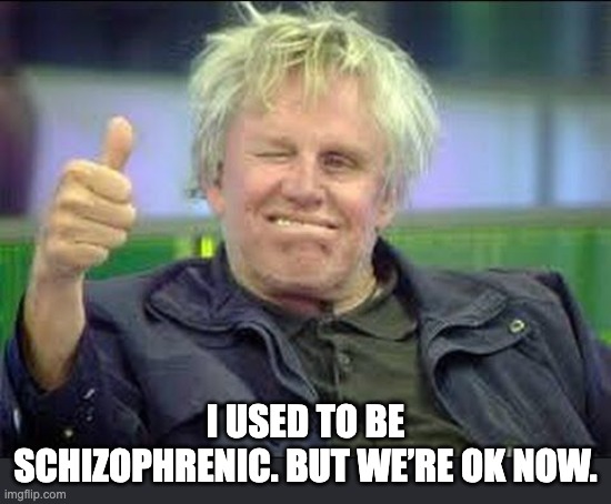 Schizo | I USED TO BE SCHIZOPHRENIC. BUT WE’RE OK NOW. | image tagged in gary busey approves | made w/ Imgflip meme maker