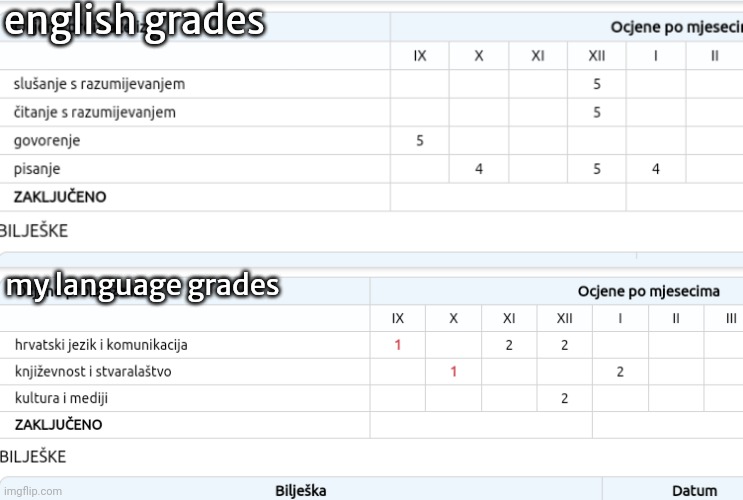 i suck at my OWN language | english grades; my language grades | made w/ Imgflip meme maker