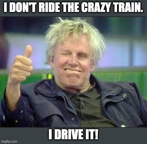 Crazy | I DON'T RIDE THE CRAZY TRAIN. I DRIVE IT! | image tagged in gary busey approves | made w/ Imgflip meme maker
