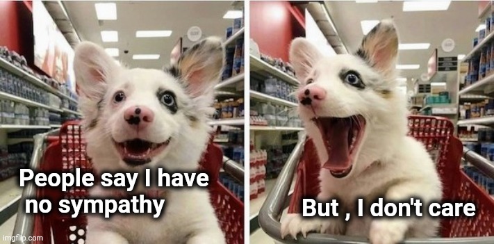 Happy Puppy | People say I have
 no sympathy But , I don't care | image tagged in happy puppy | made w/ Imgflip meme maker