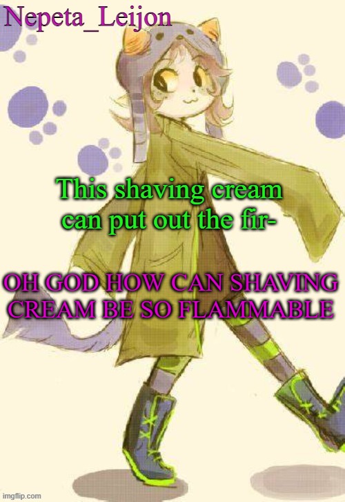 HOLY SHIT, SOME GIANT EGG THING APPEARED IN THE SKY TOO | This shaving cream can put out the fir-; OH GOD HOW CAN SHAVING CREAM BE SO FLAMMABLE | image tagged in nepeta temp | made w/ Imgflip meme maker