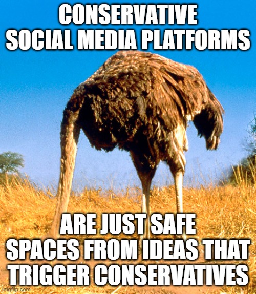 Check The Comments To See Which Conservatives Have Been Triggered By The Idea Expressed Through This Meme | CONSERVATIVE SOCIAL MEDIA PLATFORMS; ARE JUST SAFE SPACES FROM IDEAS THAT TRIGGER CONSERVATIVES | image tagged in denial be like,safe space,triggered,ideas,social media,conservative hypocrisy | made w/ Imgflip meme maker