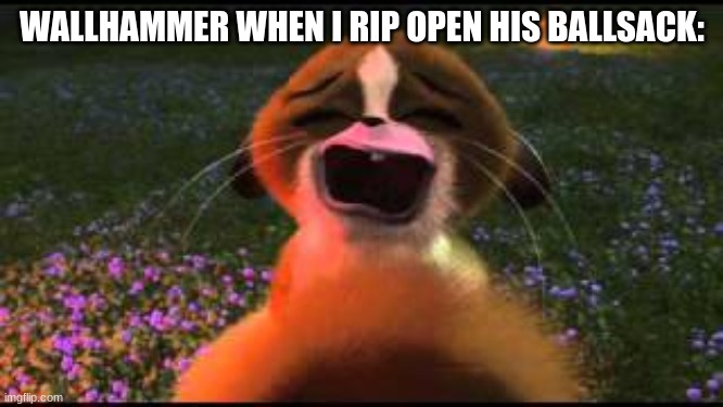 Mort crying | WALLHAMMER WHEN I RIP OPEN HIS BALLSACK: | image tagged in mort crying | made w/ Imgflip meme maker