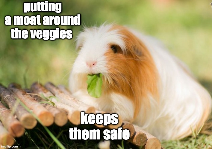 keeps them safe putting a moat around the veggies | made w/ Imgflip meme maker
