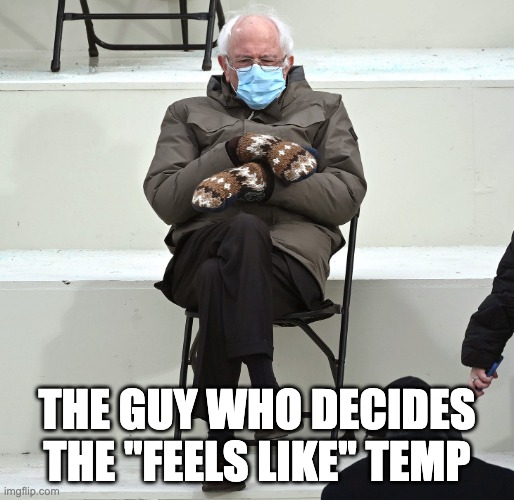 Feels like Temp | THE GUY WHO DECIDES THE "FEELS LIKE" TEMP | image tagged in bernie in chair,grumpy,weather,mask | made w/ Imgflip meme maker