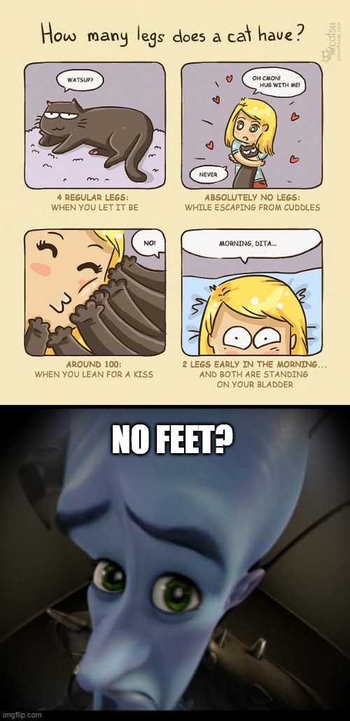 no feet? | NO FEET? | image tagged in memes,funny,not memes,msmg,comics | made w/ Imgflip meme maker