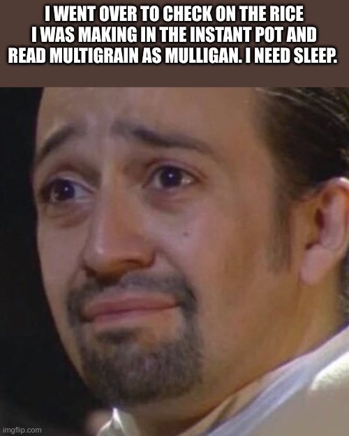 HERCULES MULLIGAN UPPING IT LOVIN' IT | I WENT OVER TO CHECK ON THE RICE I WAS MAKING IN THE INSTANT POT AND READ MULTIGRAIN AS MULLIGAN. I NEED SLEEP. | image tagged in sad hamilton | made w/ Imgflip meme maker