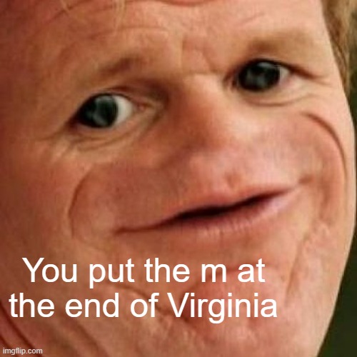 SOSIG | You put the m at the end of Virginia | image tagged in sosig | made w/ Imgflip meme maker