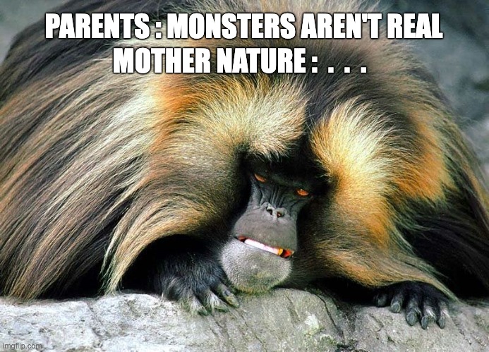 MOTHER NATURE :  .  .  . PARENTS : MONSTERS AREN'T REAL | made w/ Imgflip meme maker