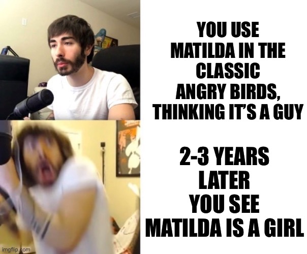 Only OG angry birds players will understand |  YOU USE MATILDA IN THE CLASSIC ANGRY BIRDS, THINKING IT’S A GUY; 2-3 YEARS LATER YOU SEE MATILDA IS A GIRL | image tagged in penguinz0,angry birds,gender | made w/ Imgflip meme maker