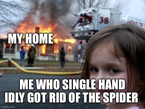 Disaster Girl | MY HOME; ME WHO SINGLE HAND IDLY GOT RID OF THE SPIDER | image tagged in memes,disaster girl | made w/ Imgflip meme maker