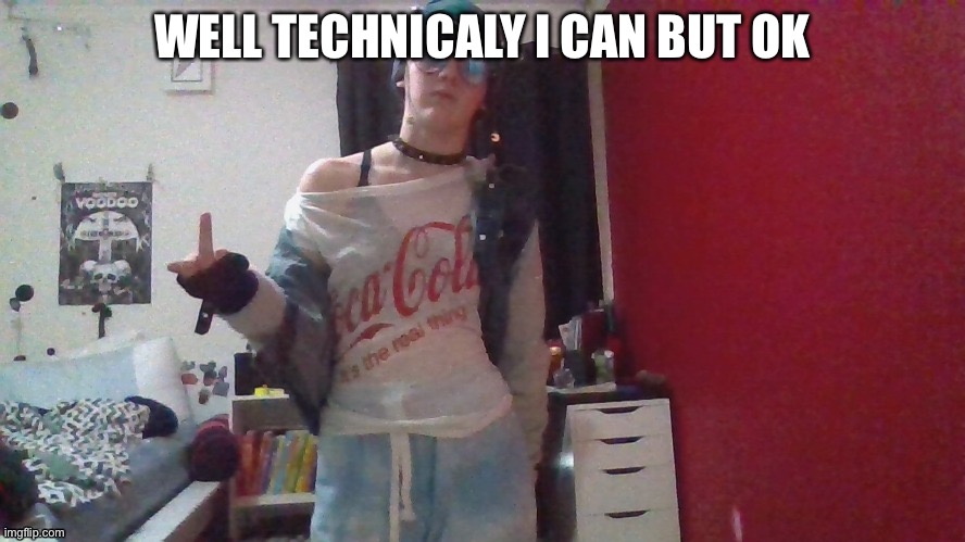 Ahem, I can | WELL TECHNICALY I CAN BUT OK | made w/ Imgflip meme maker