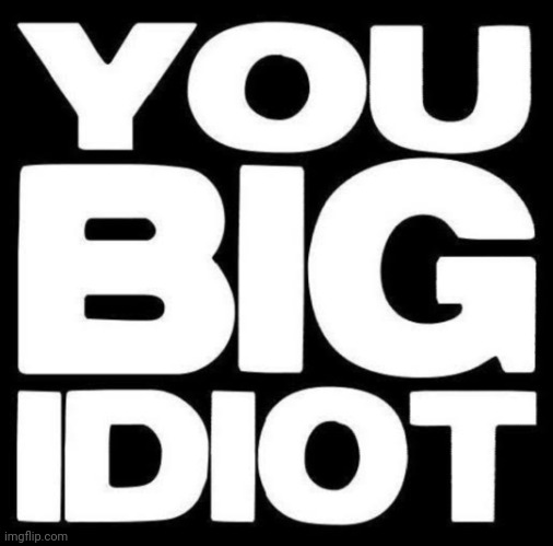 You big idiot | image tagged in you big idiot | made w/ Imgflip meme maker