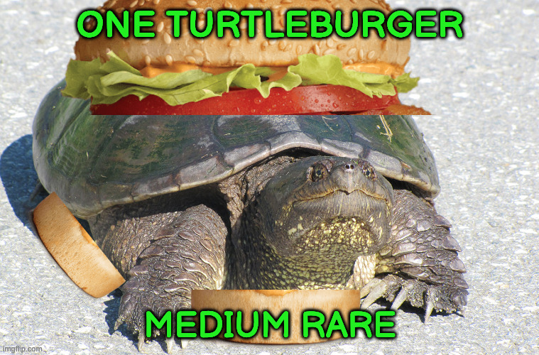 Turtle Burger | ONE TURTLEBURGER; MEDIUM RARE | image tagged in snapping trutle | made w/ Imgflip meme maker