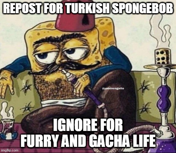 Who lives in mosque on Cappadocia? | REPOST FOR TURKISH SPONGEBOB; IGNORE FOR FURRY AND GACHA LIFE | image tagged in memes,turkey,spongebob | made w/ Imgflip meme maker