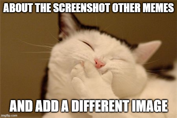 cat laughing | ABOUT THE SCREENSHOT OTHER MEMES AND ADD A DIFFERENT IMAGE | image tagged in cat laughing | made w/ Imgflip meme maker
