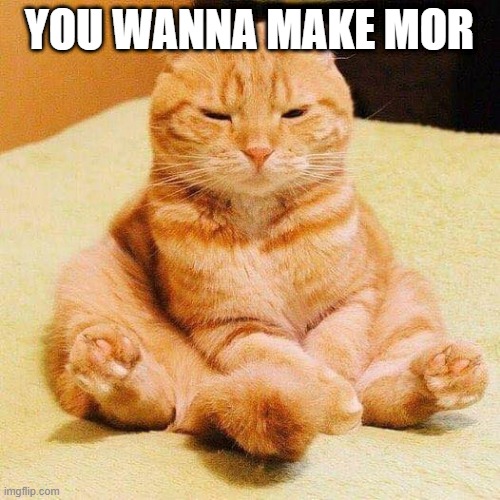 chonky cat | YOU WANNA MAKE MOR | image tagged in chonky cat | made w/ Imgflip meme maker