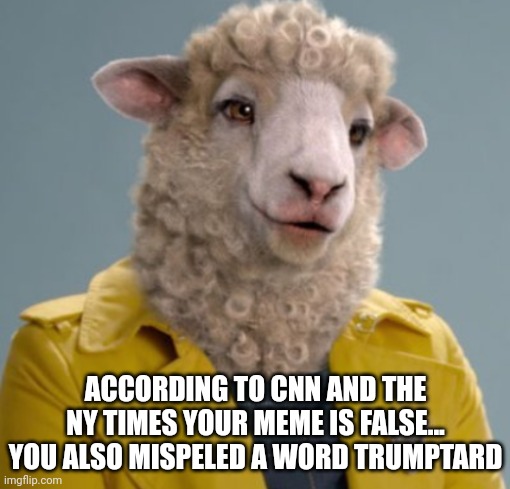 ACCORDING TO CNN AND THE NY TIMES YOUR MEME IS FALSE... YOU ALSO MISPELED A WORD TRUMPTARD | made w/ Imgflip meme maker