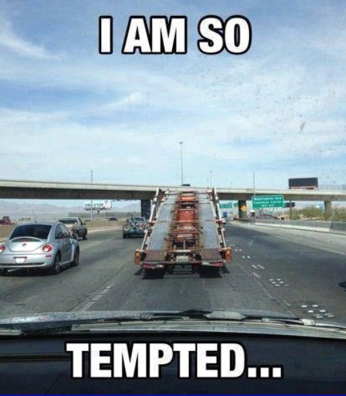 I AM SO; TEMPTED | image tagged in memes | made w/ Imgflip meme maker