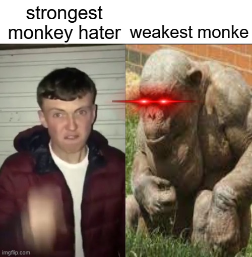 weakest monke; strongest monkey hater | image tagged in monke | made w/ Imgflip meme maker