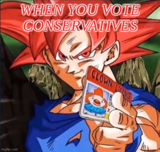 The libertarian attack ad | WHEN YOU VOTE CONSERVATIVES | image tagged in libertarian,vote for us,fidelsmooker,tommy,tommyisok | made w/ Imgflip meme maker