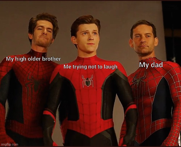 Family photos be like | image tagged in spiderman,no way home,marvel,family photo | made w/ Imgflip meme maker