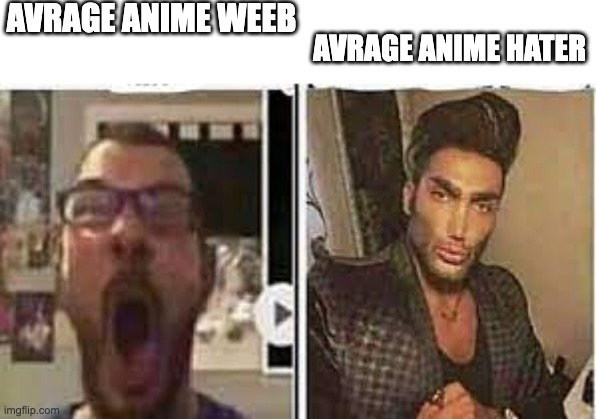 anime sucks | AVRAGE ANIME WEEB; AVRAGE ANIME HATER | image tagged in avrage fan vs enjoyer,anti anime,memes,funny,unfunny | made w/ Imgflip meme maker