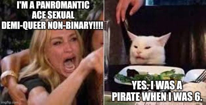 Meanwhile, In Reality... |  I'M A PANROMANTIC ACE SEXUAL DEMI-QUEER NON-BINARY!!!! YES. I WAS A PIRATE WHEN I WAS 6. | image tagged in pronouns,first world problems,ridiculous | made w/ Imgflip meme maker