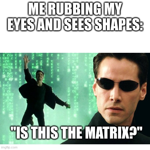 MaTrIx | ME RUBBING MY EYES AND SEES SHAPES:; "IS THIS THE MATRIX?" | image tagged in what,how,why | made w/ Imgflip meme maker
