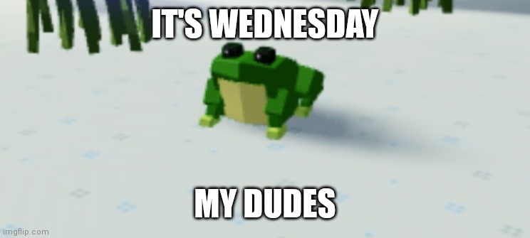 IT'S WEDNESDAY; MY DUDES | made w/ Imgflip meme maker