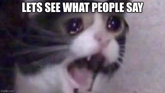idk | LETS SEE WHAT PEOPLE SAY | image tagged in screaming cat,idk,memes,oh wow are you actually reading these tags,stop reading the tags | made w/ Imgflip meme maker