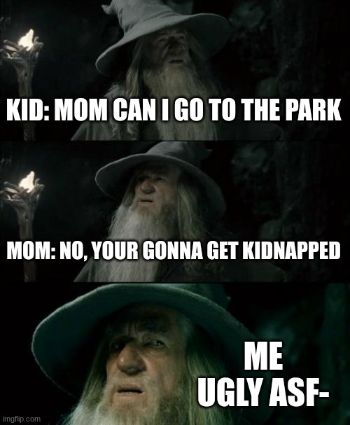 Confused Gandalf Meme | KID: MOM CAN I GO TO THE PARK; MOM: NO, YOUR GONNA GET KIDNAPPED; ME UGLY ASF- | image tagged in memes,confused gandalf | made w/ Imgflip meme maker