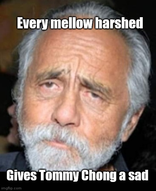 Sad Tommy Chong | Every mellow harshed; Gives Tommy Chong a sad | image tagged in funny | made w/ Imgflip meme maker