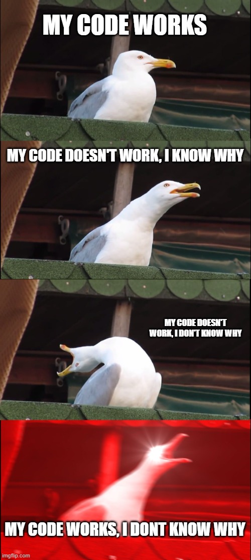 My Code Works | MY CODE WORKS; MY CODE DOESN'T WORK, I KNOW WHY; MY CODE DOESN'T WORK, I DON'T KNOW WHY; MY CODE WORKS, I DONT KNOW WHY | image tagged in memes,inhaling seagull | made w/ Imgflip meme maker