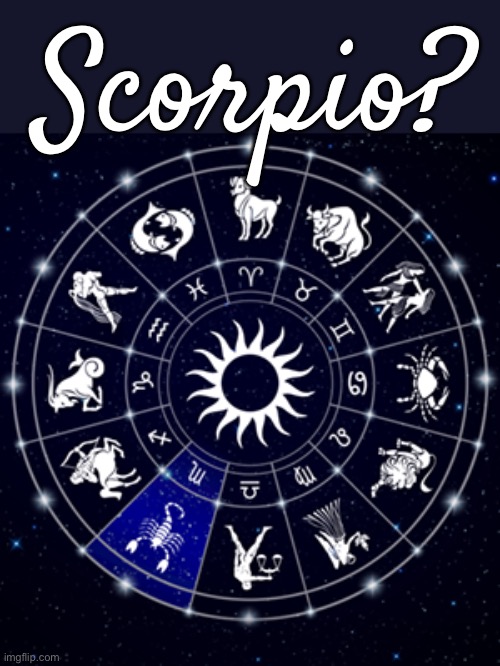 Guess Which Zodiac Sign Will Actually Do This... - Imgflip