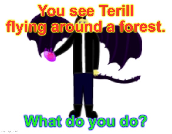 Any character allowed. | You see Terill flying around a forest. What do you do? | image tagged in dragon,human,roleplaying | made w/ Imgflip meme maker